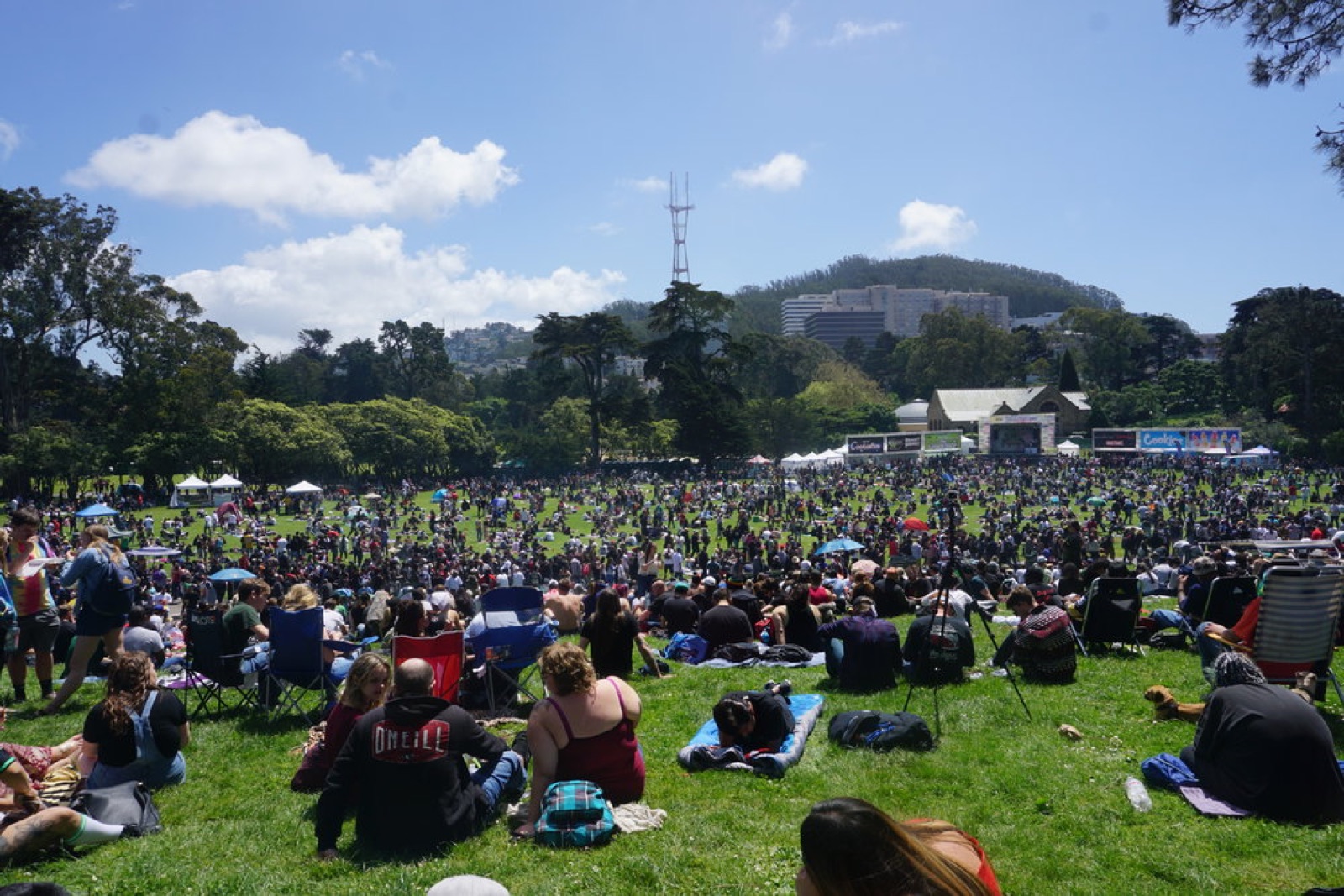 Hippie Hill in Golden Gate Park